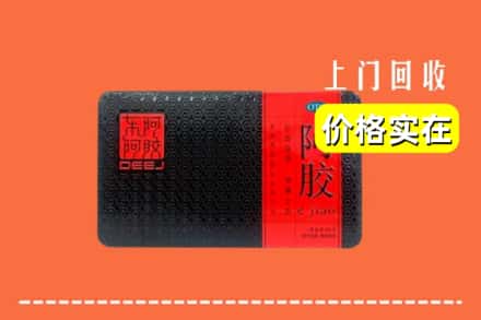 沧州市运河回收阿胶