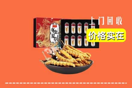沧州市运河回收虫草