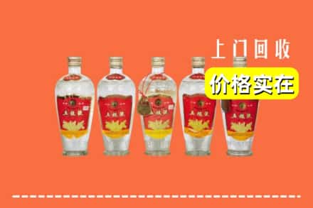 诚信求购:沧州市运河高价回收老五粮液